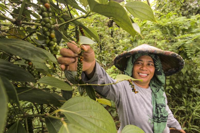 Catalyzing Community-led Conservation to Reduce Deforestation and Biodiversity Loss through an Integrated Ecosystem Approach – West Kalimantan, Indonesia