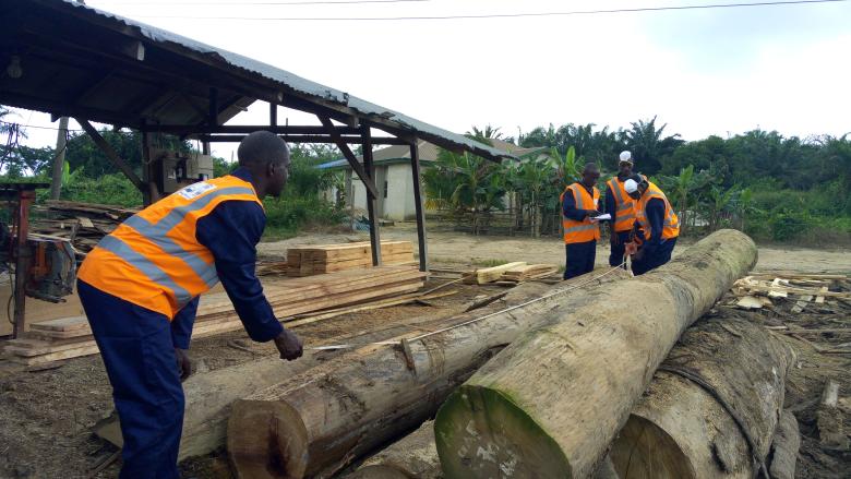 Supporting the integration of legal and legitimate domestic lumber supply through Voluntary Partnership Agreements