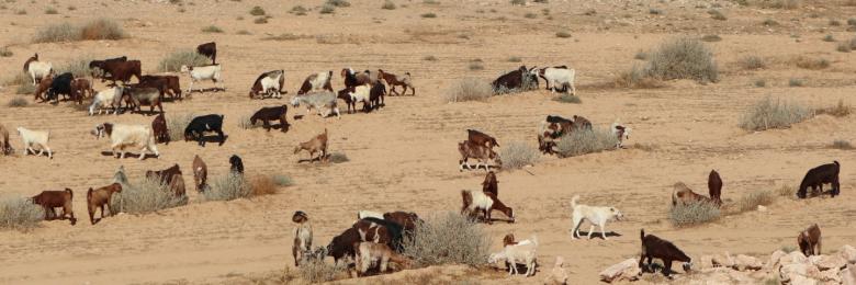 A participatory sustainable rangeland management toolkit with a holistic and multidisciplinary approach