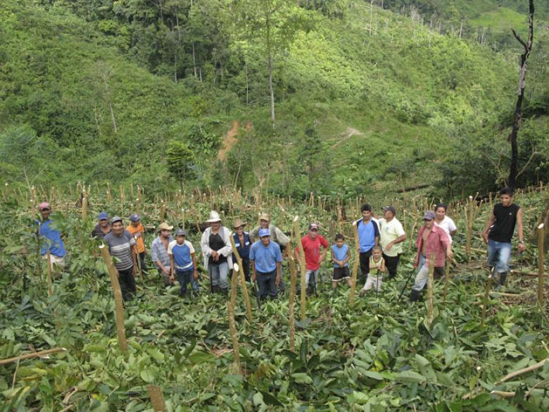 Land For Life: Organic, Regenerative Agroforestry for 100% Food Security with the Inga Tree Model