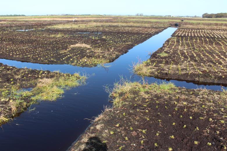 The Winmarleigh carbon farm
