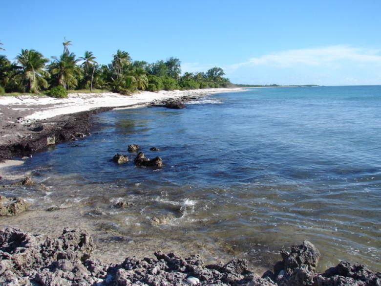 Food security and climate change adaptation in an Atoll community Food security and climate change adaptation in an Atoll community