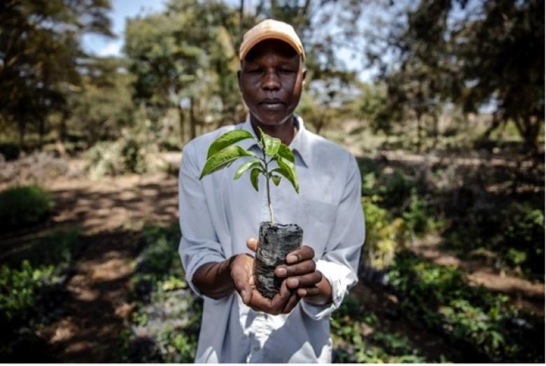 Strengthening national and county level policy and regulatory frameworks to support forest and landscape restoration in Kenya