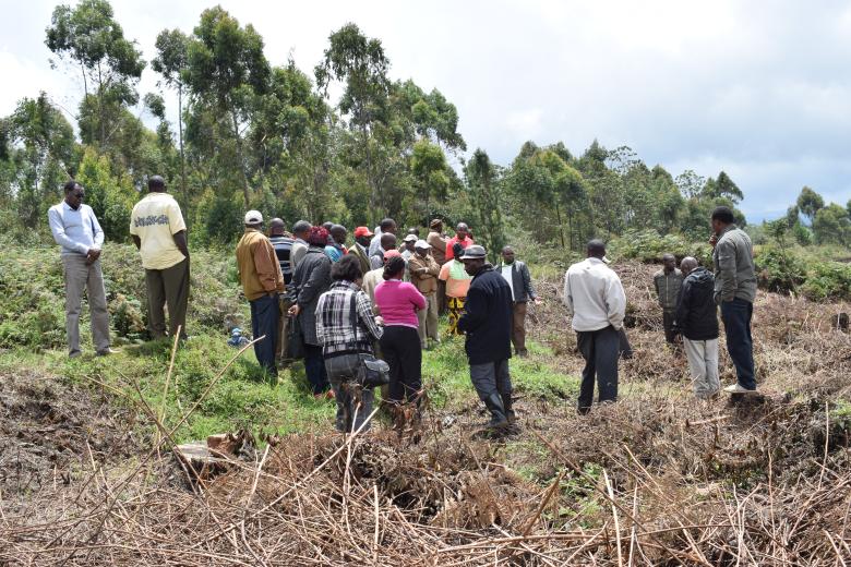 Payment for Water Ecosystem Service at Kikuyu Escarpment Forest, Kenya.