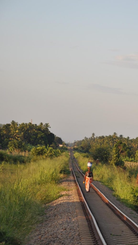 Engaging business to boost sustainability in African agriculture