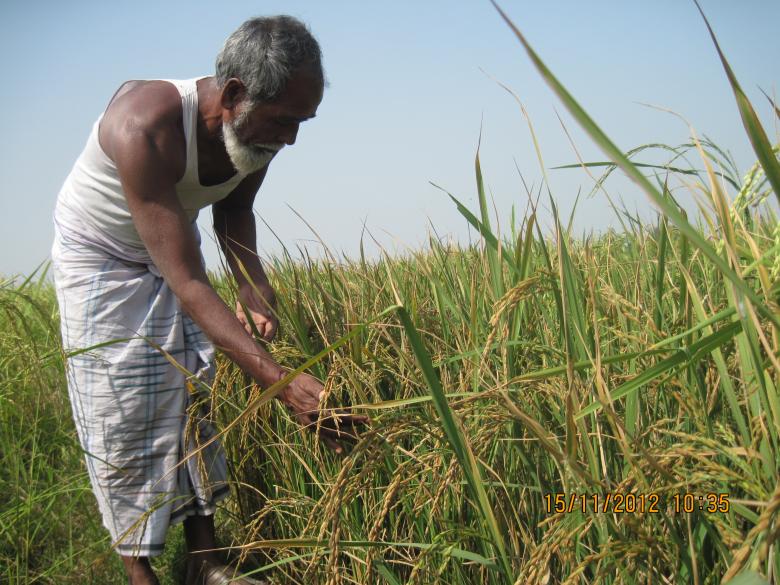 Disaster Preparedness and Building Livelihood Resilience