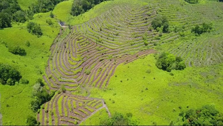 Life - Ecological Restoration through Partnerships