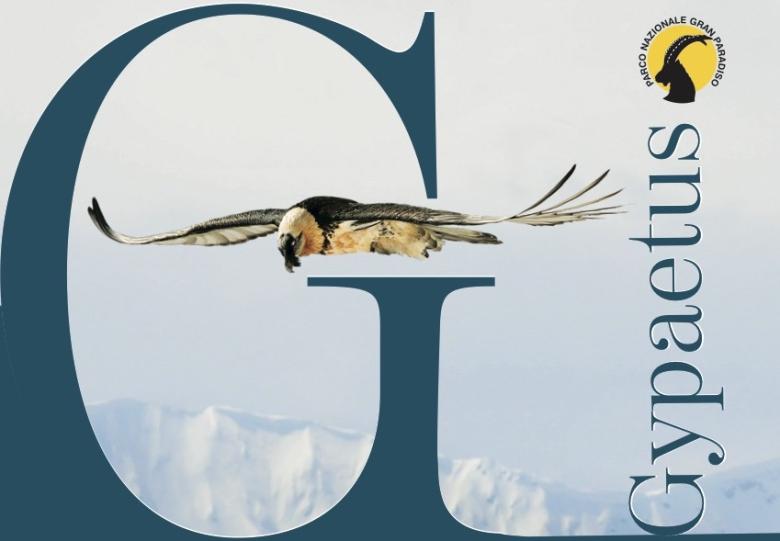 Reduction of the impacts of human activities on a Bearded Vulture nest