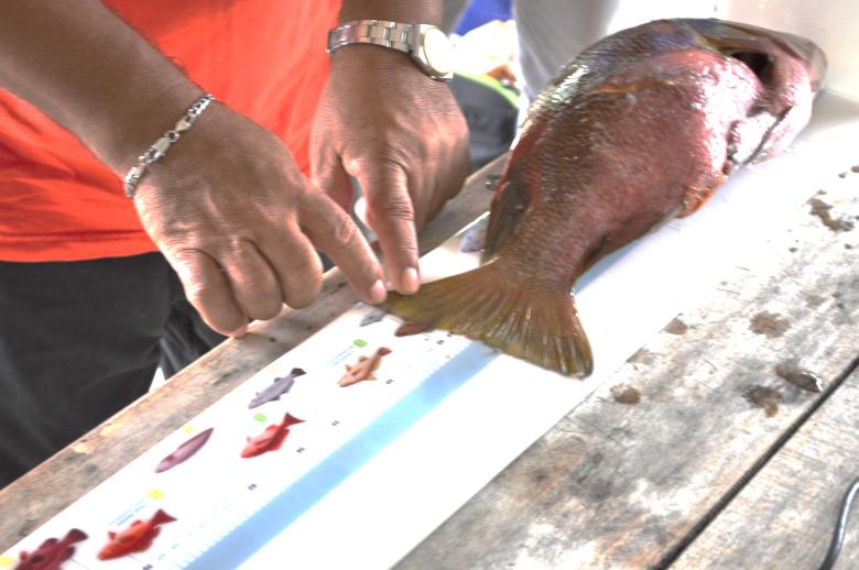 Monitoring Fish Landings by Coastal Communities