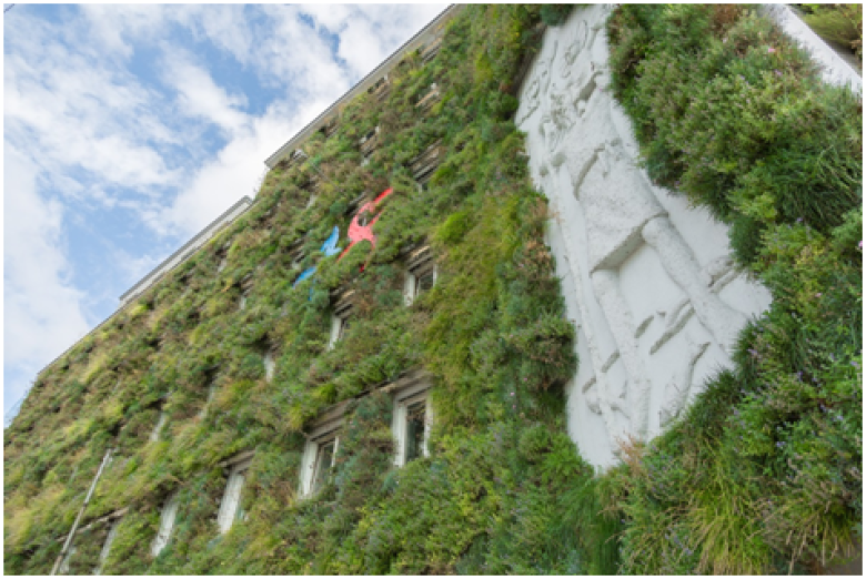 Green façade for heat wave buffering on a public administration building in Vienna