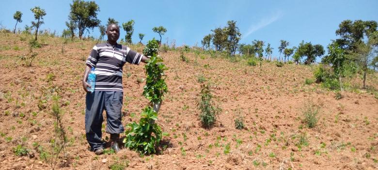 Promoting of Agroforestry and Conservation Agriculture for the Farmers near Conserved areas in Kagera Region