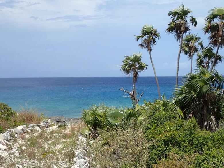 Stimulating sustainable financing for long-term coral reef conservation in the Turks and Caicos Islands