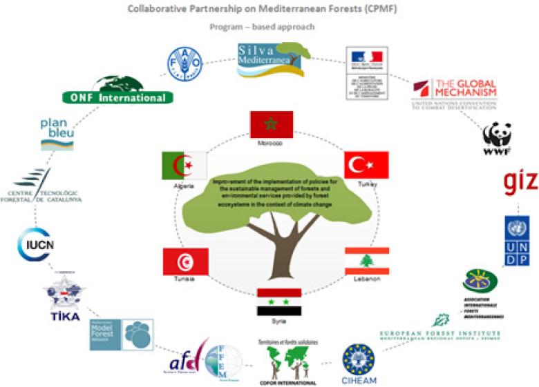 Capacity Development for Forest Ecosystem-based Adaptation to Climate Change Capacity Development for Forest Ecosystem-based Adaptation to Climate Change