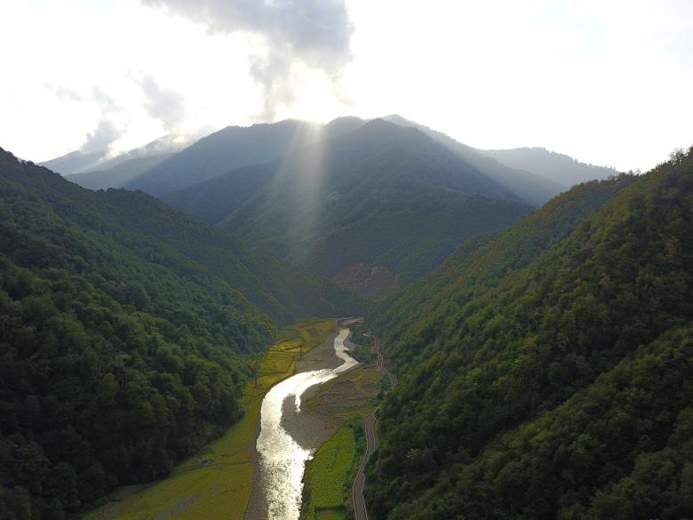 Protected Areas Friends Association supporting conservation of the unique forest ecosystems in Georgia