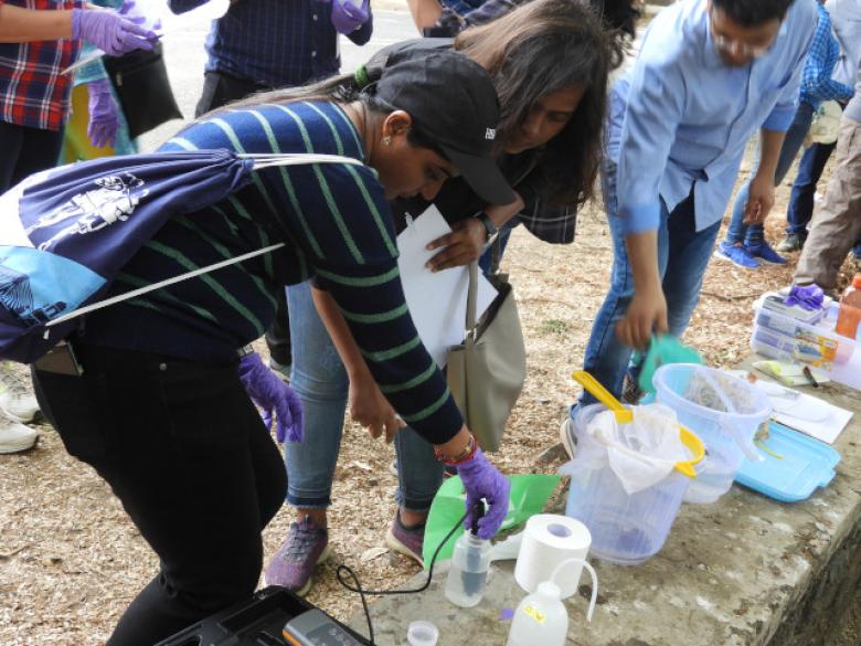 Exploring the feasibility of floating wetlands for environmental remediation in Mumbai