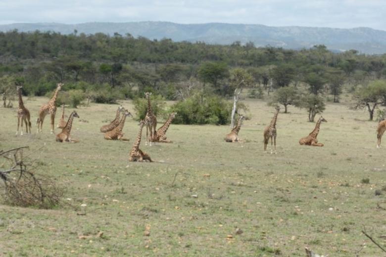 Community Conservancy model of conservation and income generation for local people