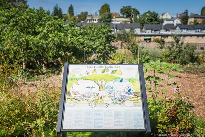 Growing food, community and biodiversity with permaculture - Beacon Food Forest