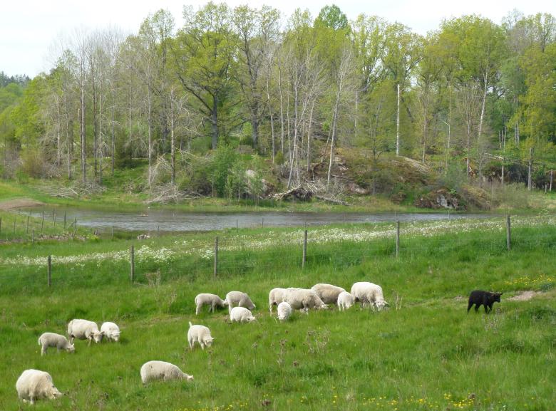 Building capacity for resilient and inclusive conservation of cultural landscapes