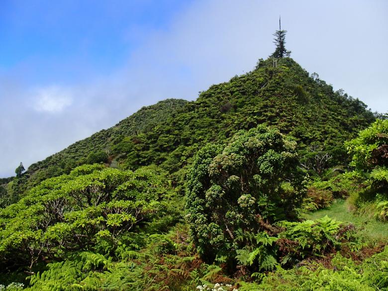 Improving trails and visitor experiences in the Peaks National Park, St Helena Island