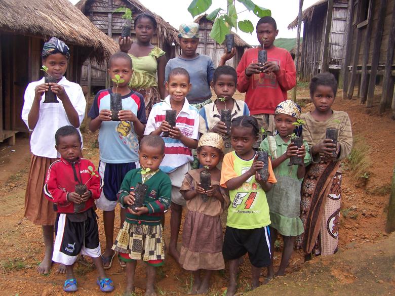 Restoration of Moist Tropical Forest (Fandriana-Marolambo Landscape in Madagascar)