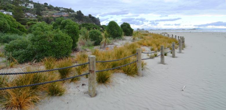 Community-based approaches for restoring biodiversity in coastal parks