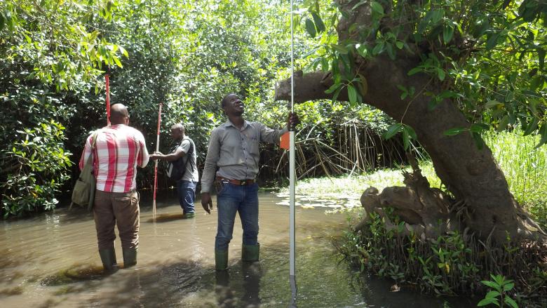 Identifying priorities for Forest Landscape Restoration based on participatory mapping and forest inventories at subnational level – Togo