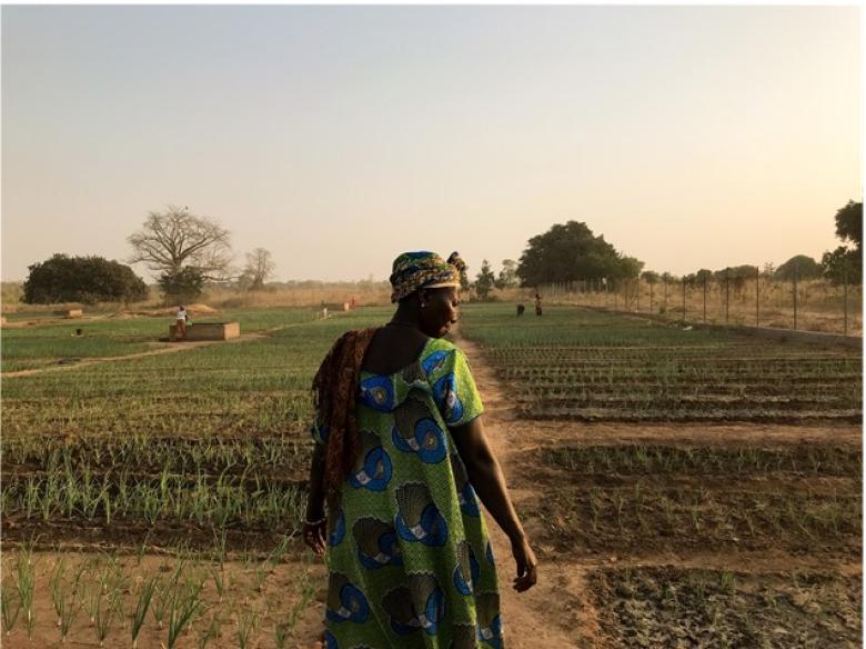 Large-scale Ecosystem-based Adaptation in the Gambia river basin: Developing a climate-resilient, natural resource-based economy