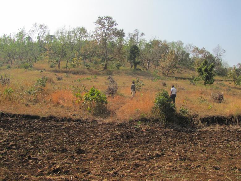 Resilient rural livelihoods through eco-restoration and sustainable natural resources management