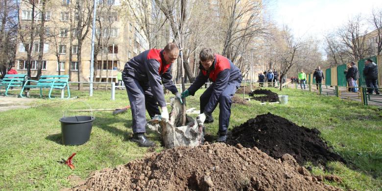 The One Million Trees Programme in Moscow, Russia