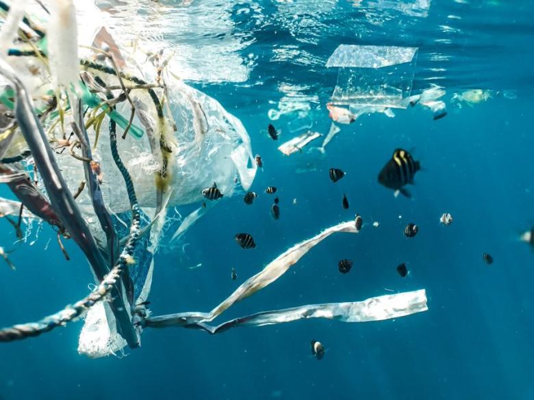 Surfers as coastal defenders - The Dollemard Landfill