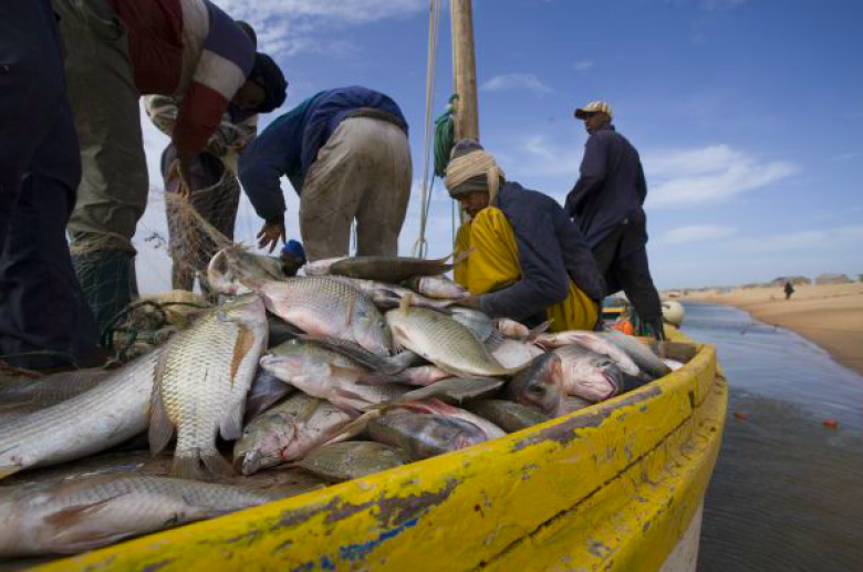 Participatory maritime surveillance within the Banc d'Arguin National Park