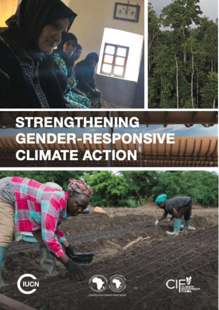 Gender Mainstreaming in Climate Change Finance Projects