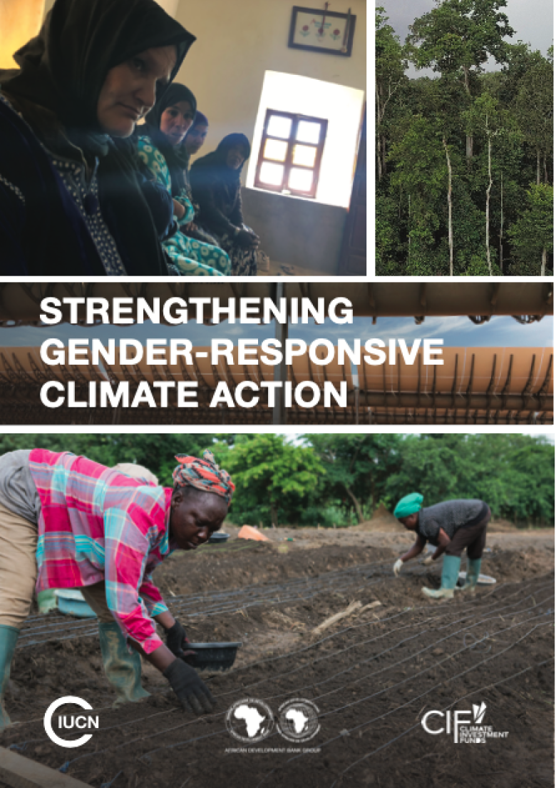 Gender Mainstreaming in Climate Change Finance Projects - GSAP SKILLS ...