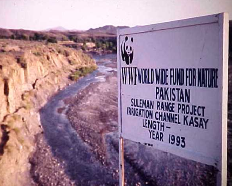 Restoration of Chilghoza forest ecosystem in Suleman range, Balochistan province, Pakistan