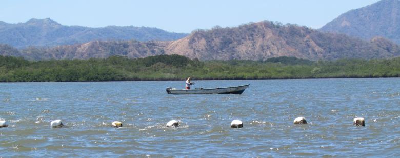 Multi-sectoral coastal and marine management vision