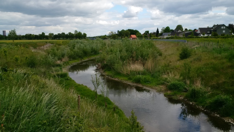 Green-blue climate corridor Kamen - Disconnection of rainwater from sewage systems to prevent urban flooding