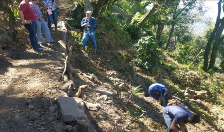 Building Climate Resilience of Urban Systems through Ecosystem-based Adaptation (EbA) in Latin America and the Caribbean