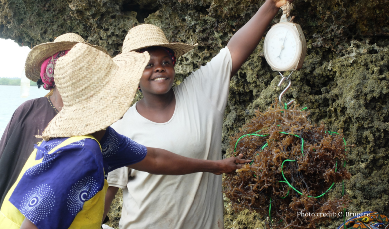 Sea PoWer: an innovative seaweed farming technology to empower women