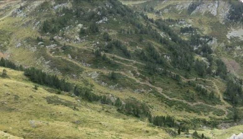 Joint planning process for better pastoral paths and grazing areas layouts in RNCFS d'Orlu, Ariège