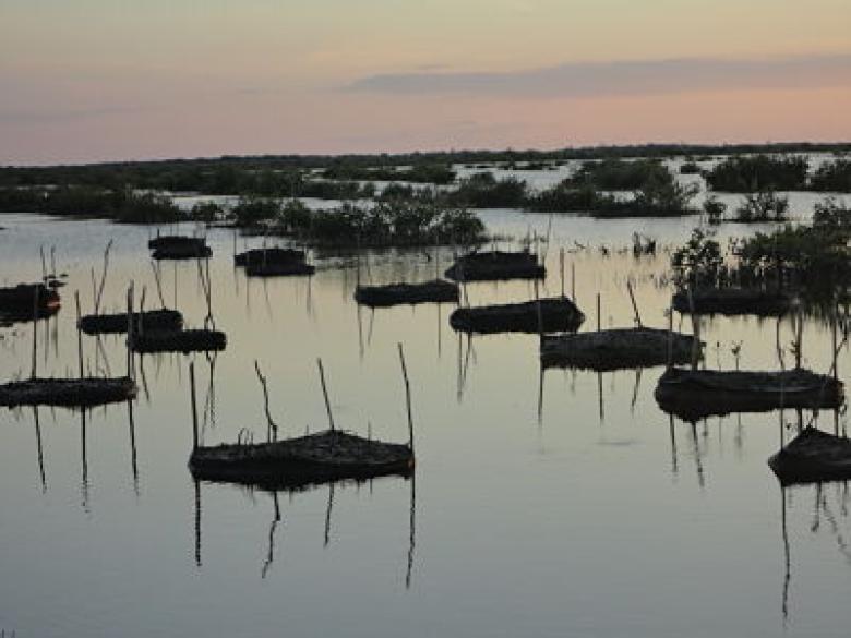 A multi-actor alliance to reduce the risks of cascading hazards in Sian Ka'an.