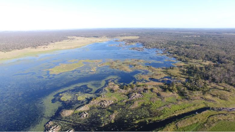 Establishing a Traditional Owner, rights-based approach for Budj Bim Cultural Landscape and ‘two-way’ knowledge management system