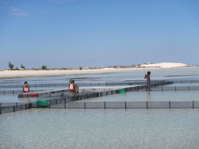 Promoting aquaculture for a better preservation of Soariake Marine Protected Area