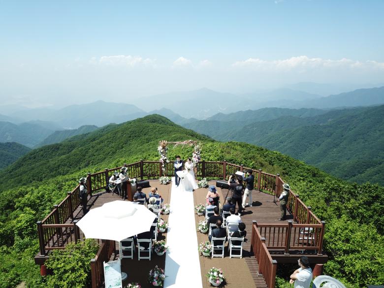 Korea National Park Eco-Friendly Forest Wedding with ESG-centric Businesses