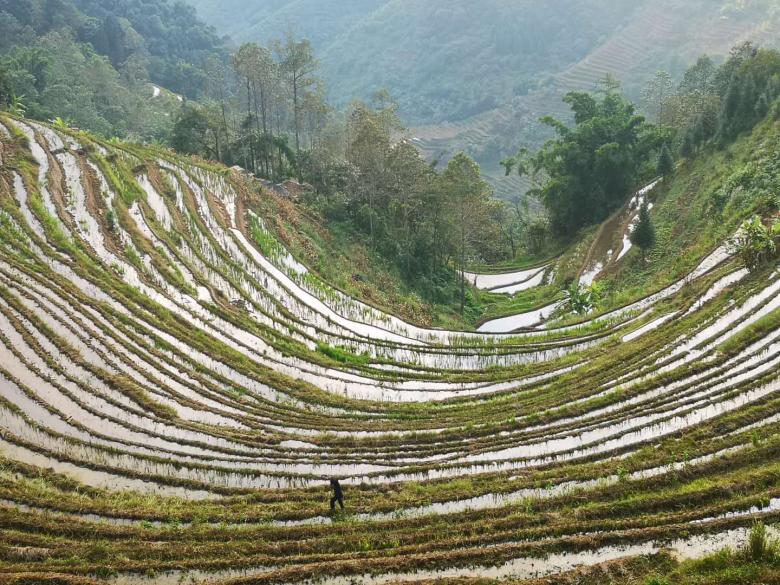 Recovery of the water-wood traditional management system in the Cultural Landscape of the Honghe Hani Terraces World Heritage, China