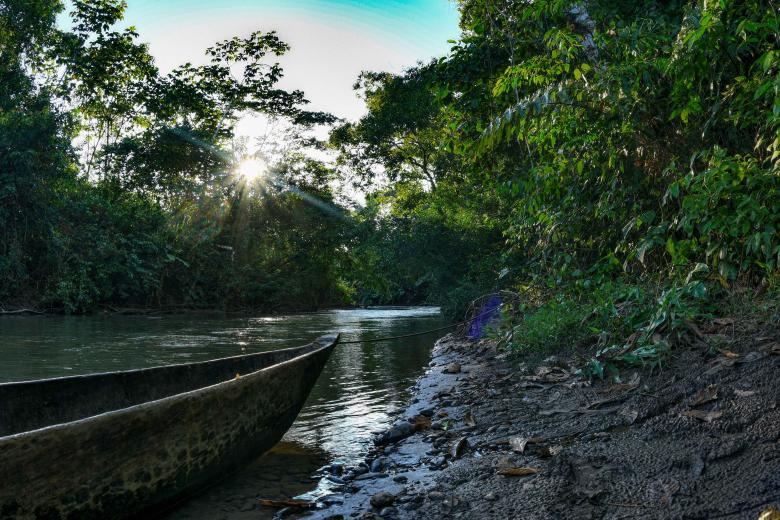 Sacred Headwaters of the Amazon