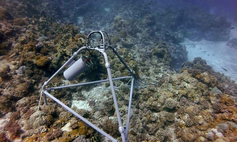 CORCOPA - Optimized Conservation of Europa’s Coral Reefs using Ecoacoustics