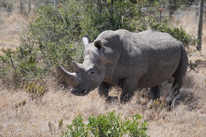 Wildlife-livestock integration in a protected area