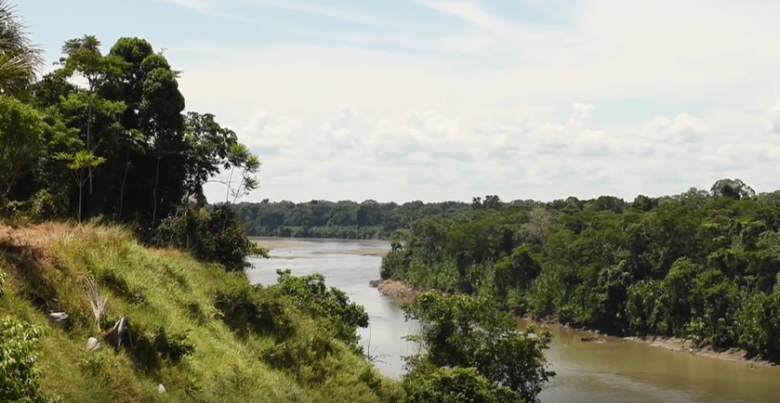 Forest conservation in the communities of Boca Isiriwe, Masenawa and Puerto Azul, Amarakaeri Communal Reserve