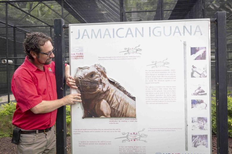 The Hope Zoo Preservation Foundation’s Role in the Iguana Head Start Program