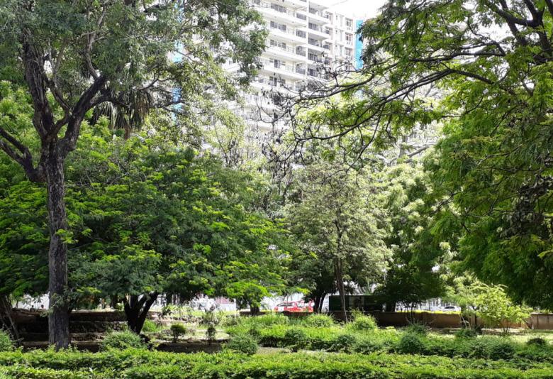 A Thematic Atlas of Nature’s Benefits to Dar es Salaam:  Critical reasons for greening the city and for keeping urban and peri-urban ecosystems intact